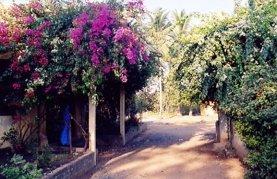 Hebron gardens