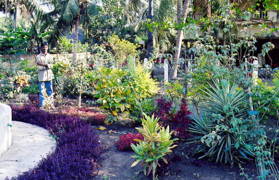 Ravndra tending the garden