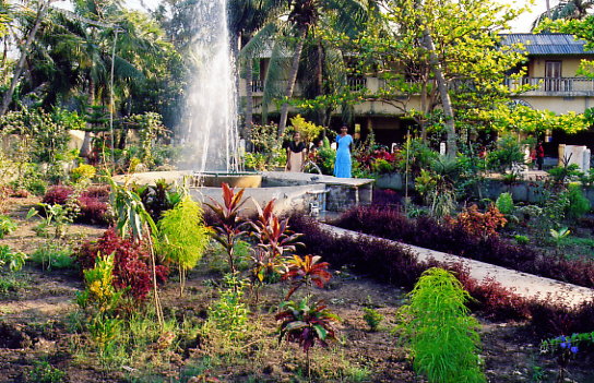 Ravndra tending the garden